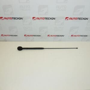 Antenne complète Citroën C3 Pluriel 6561R7 656197