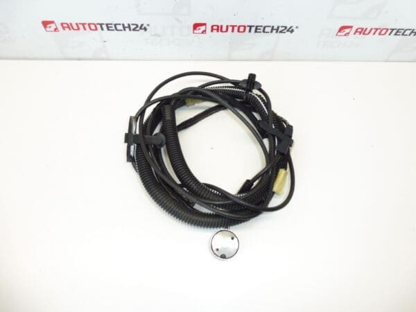 Faisceau d'antenne Citroën C3 Pluriel 964515948002 6561Q8