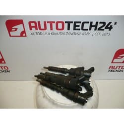 Kit injection Bosch 2.0HDI 0445110062