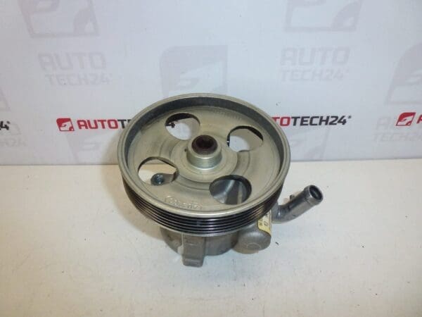 Servo Citroën Peugeot 1.6 HDI 9665709080 4007WL n'a parcouru que 48 000 km